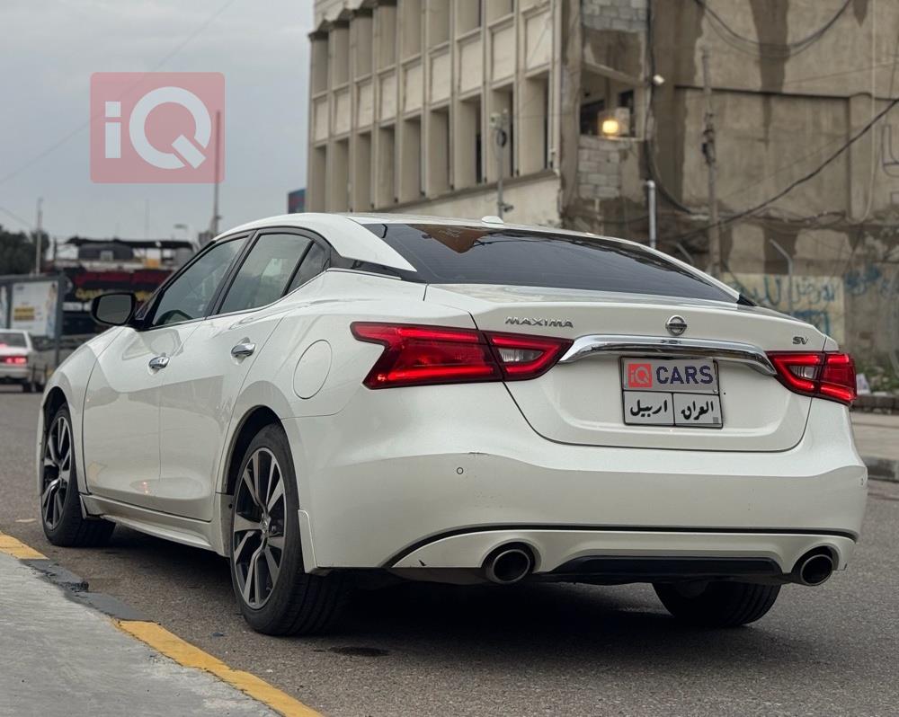 نيسان ماكسيما